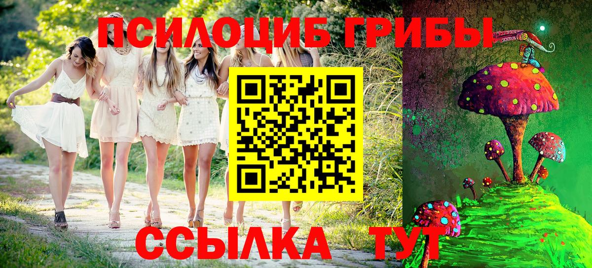 Псилоцибиновые грибы мухоморы Шахты
